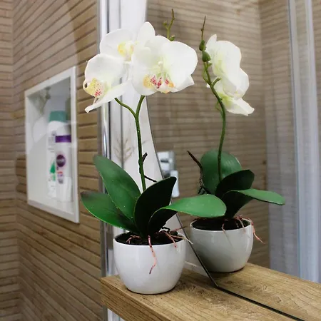 Anima E Cori - Casa Holiday home